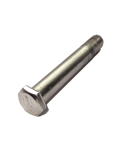 Skate-Schrauben CARVER KING PIN CX Argent