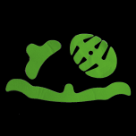 Chrániče Tsg Adult Helmet Pad Kit Dc Green L (Green) 75044-50-007