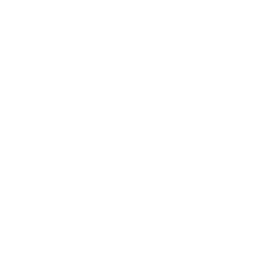 Abec 11 Logo