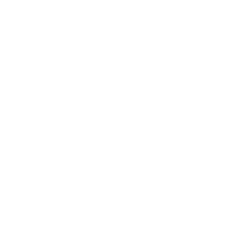 Rayne Logo