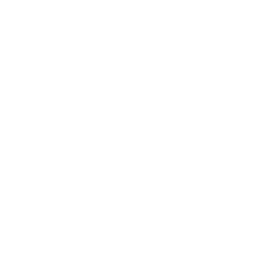 S-one Logo