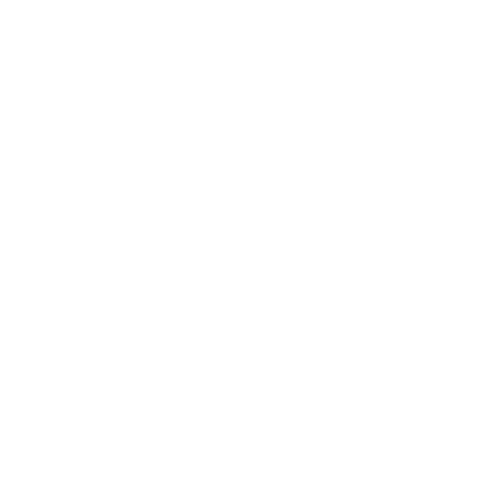 Seismic Logo
