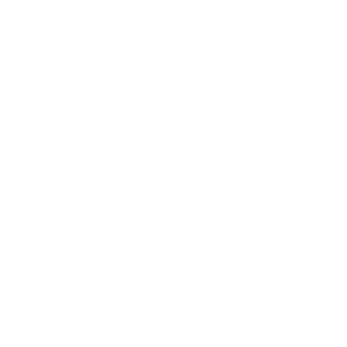 TSG Logo