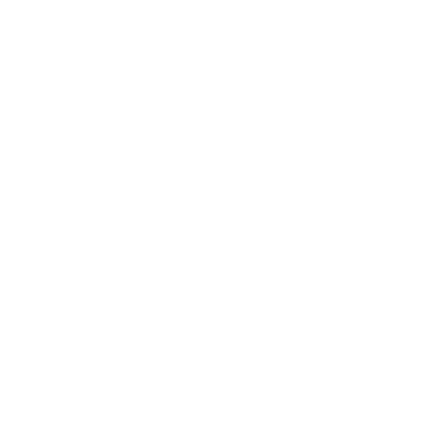 Venom Wheels Logo
