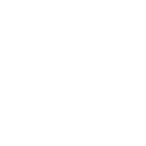 Zenit Logo