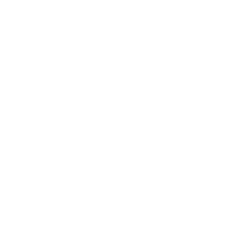 Carver Skateboards Logo