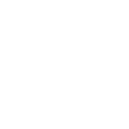 Paris Trucks Co Logo