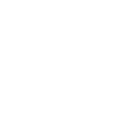 Triton by Carver Logo